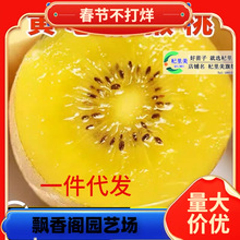 奇异果基地探秘:绿色生态宝地